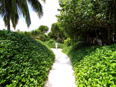 Park Hyatt Maldives Hadahaa